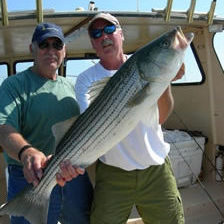 Captain Rich Wood holding a larged striped bass