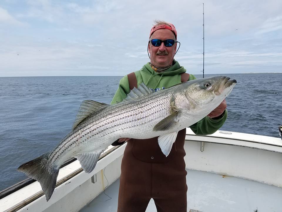 Man holding a large striper aboard the Beth Ann caught off Provincetown