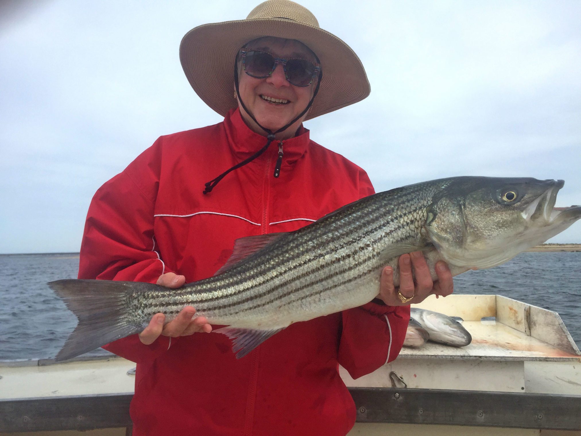 Person holding a fresh caught striper in Provincetown during a fishing charter