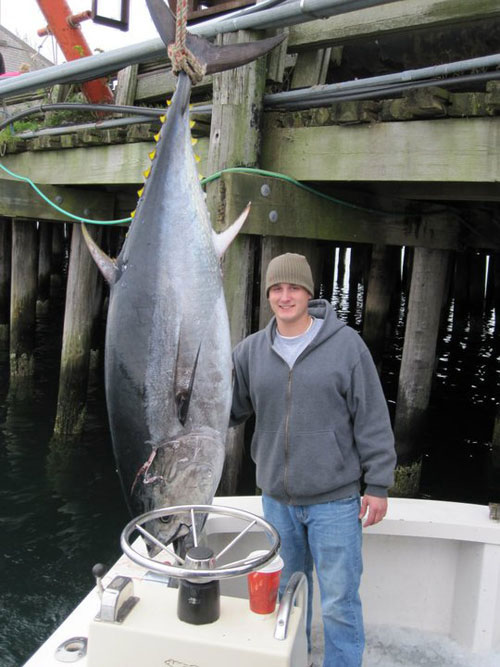 Man posing with large tuna caught off Provincetown on Cape Cod